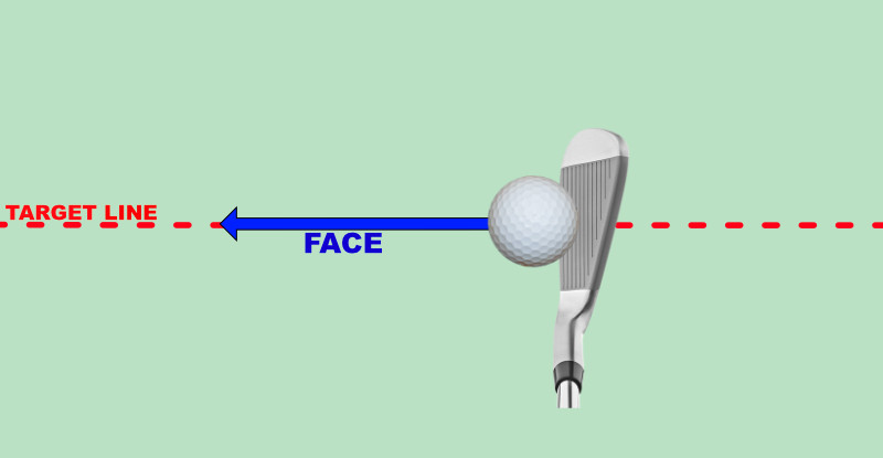 face-square