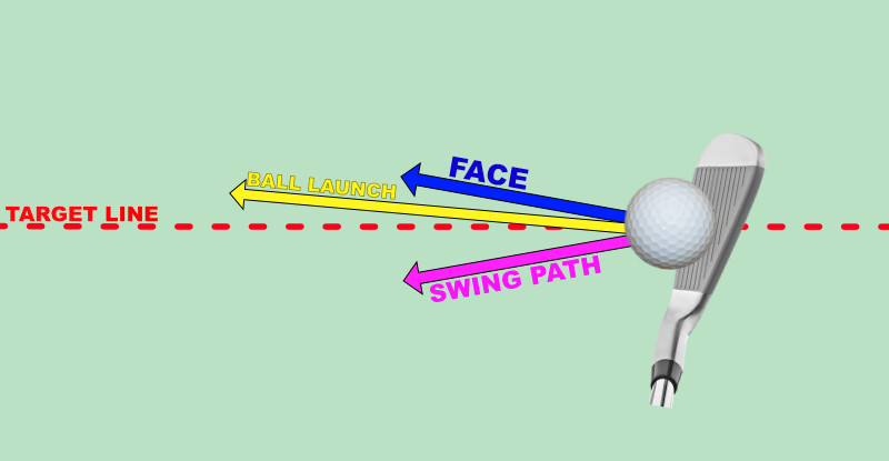 path-left-face-right