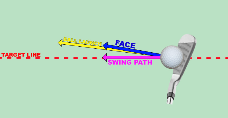 path-neutral-face-right